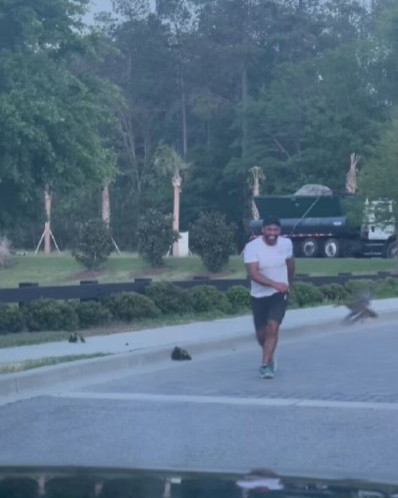 the man runs after the ducklings