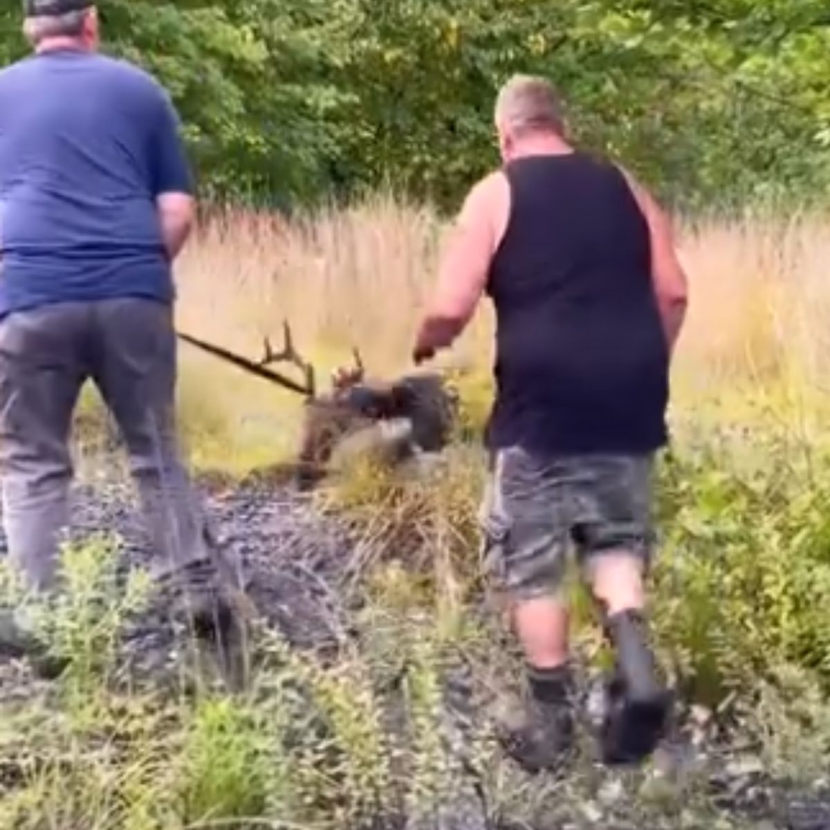 two man setting the buck free