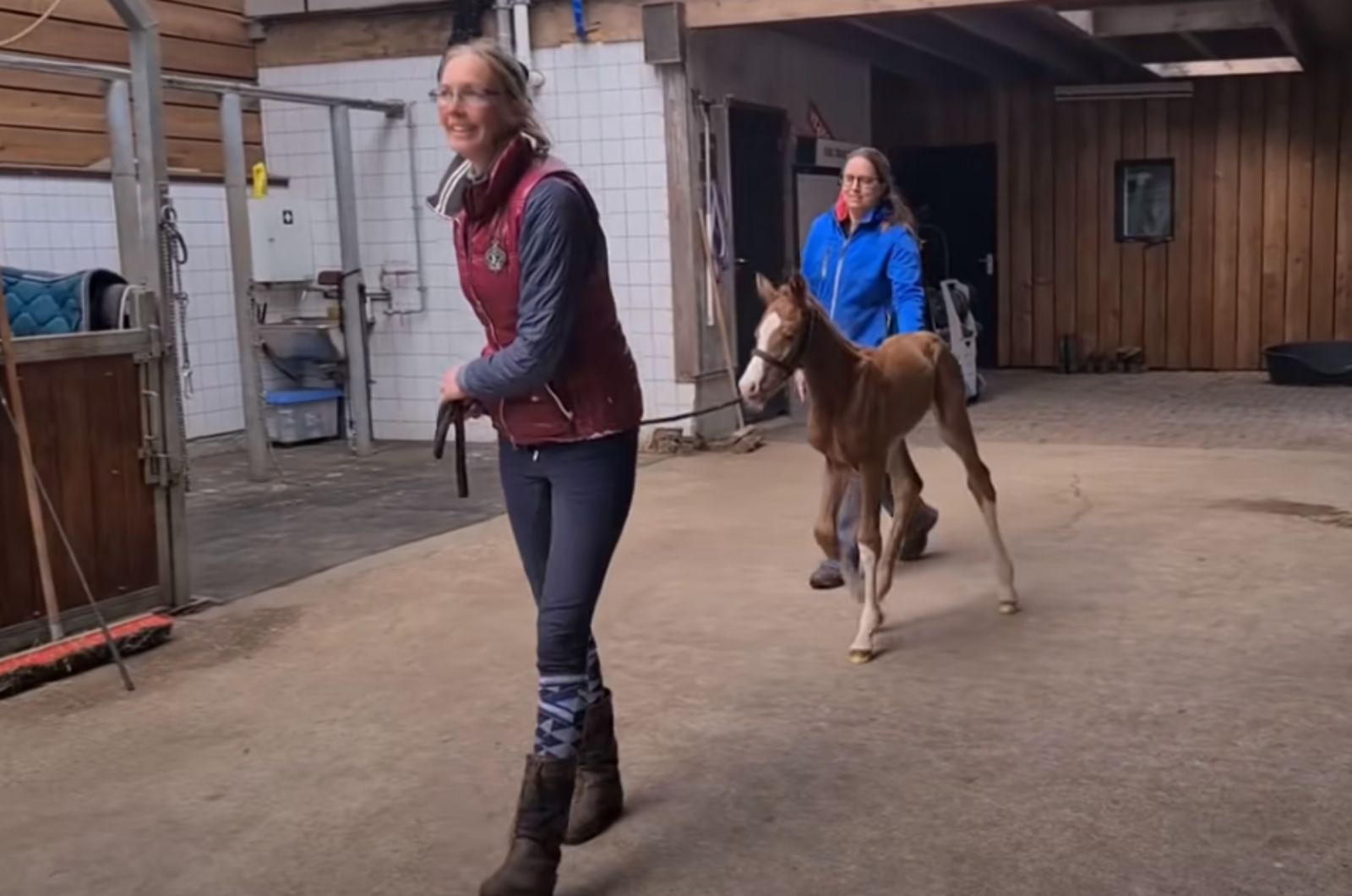 two woman and a baby horse