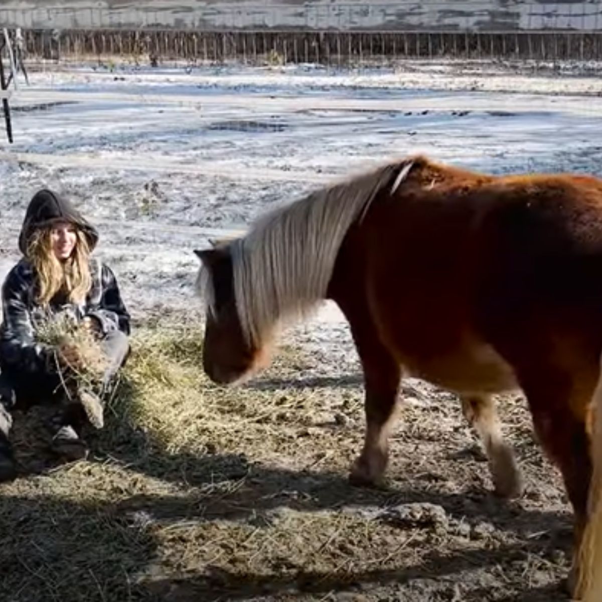 woman and little pony