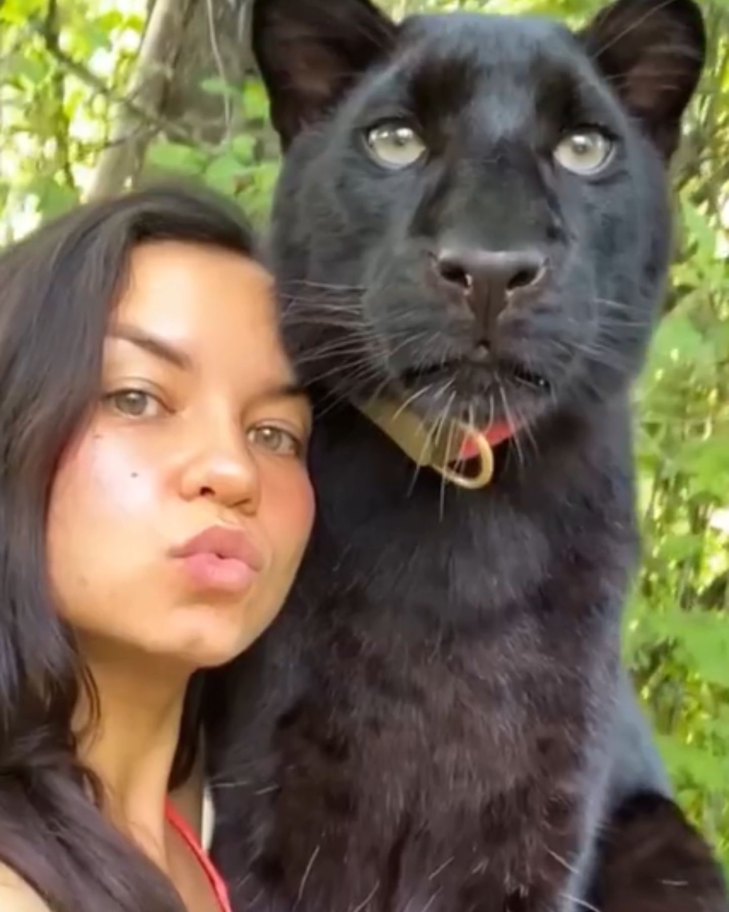 woman and panther