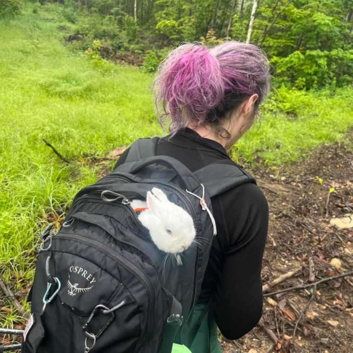 woman carrying a bunny in a backpack