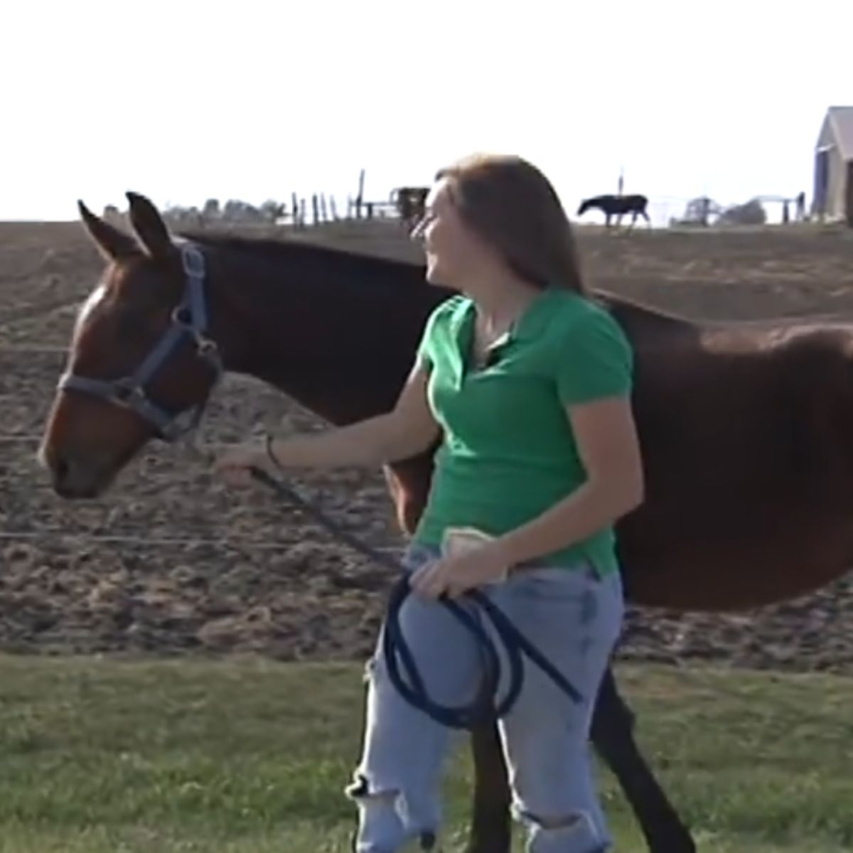 woman holding horse for harness