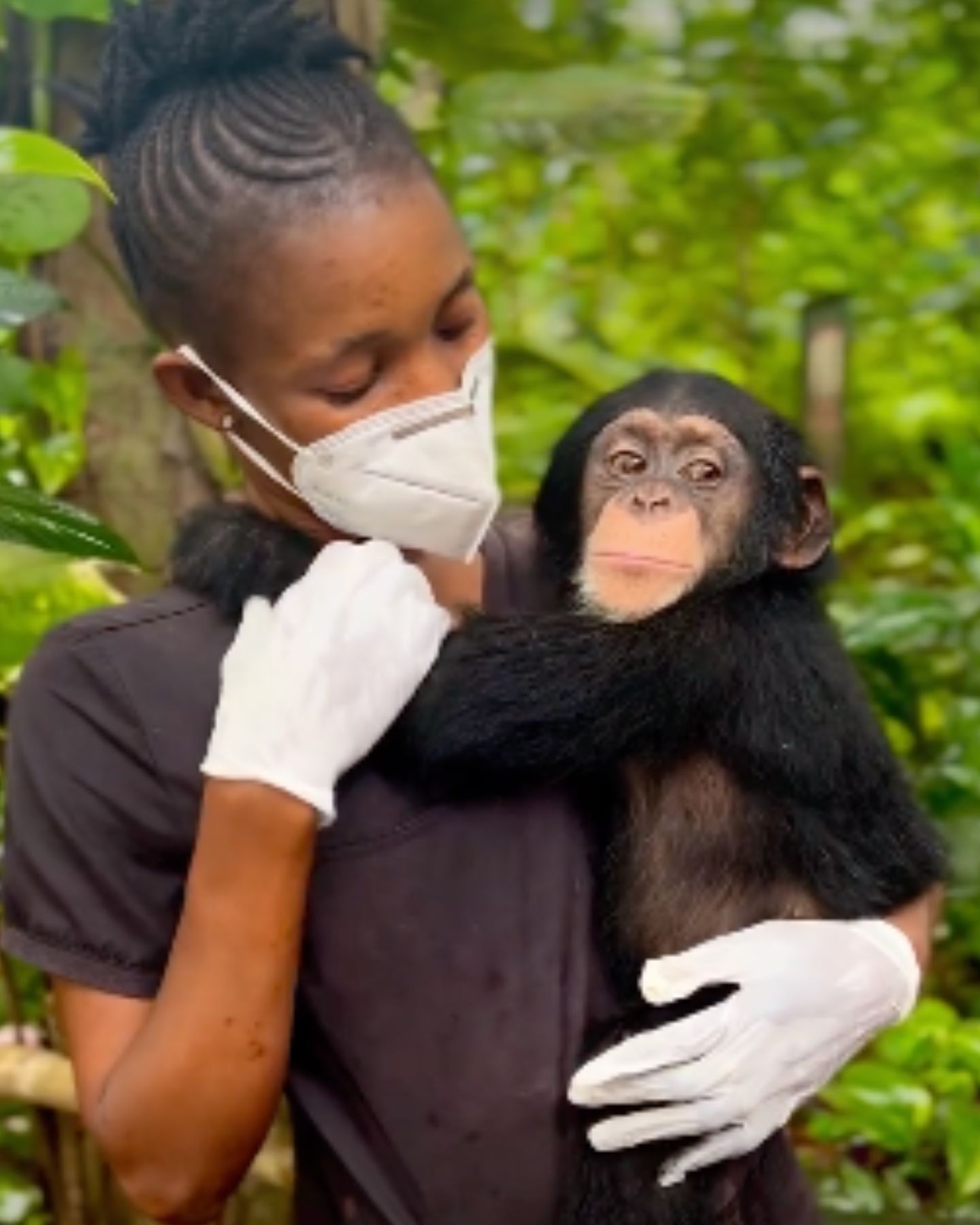 woman holding the chimp