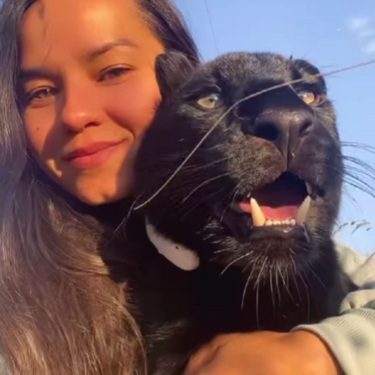 woman hugging black panther