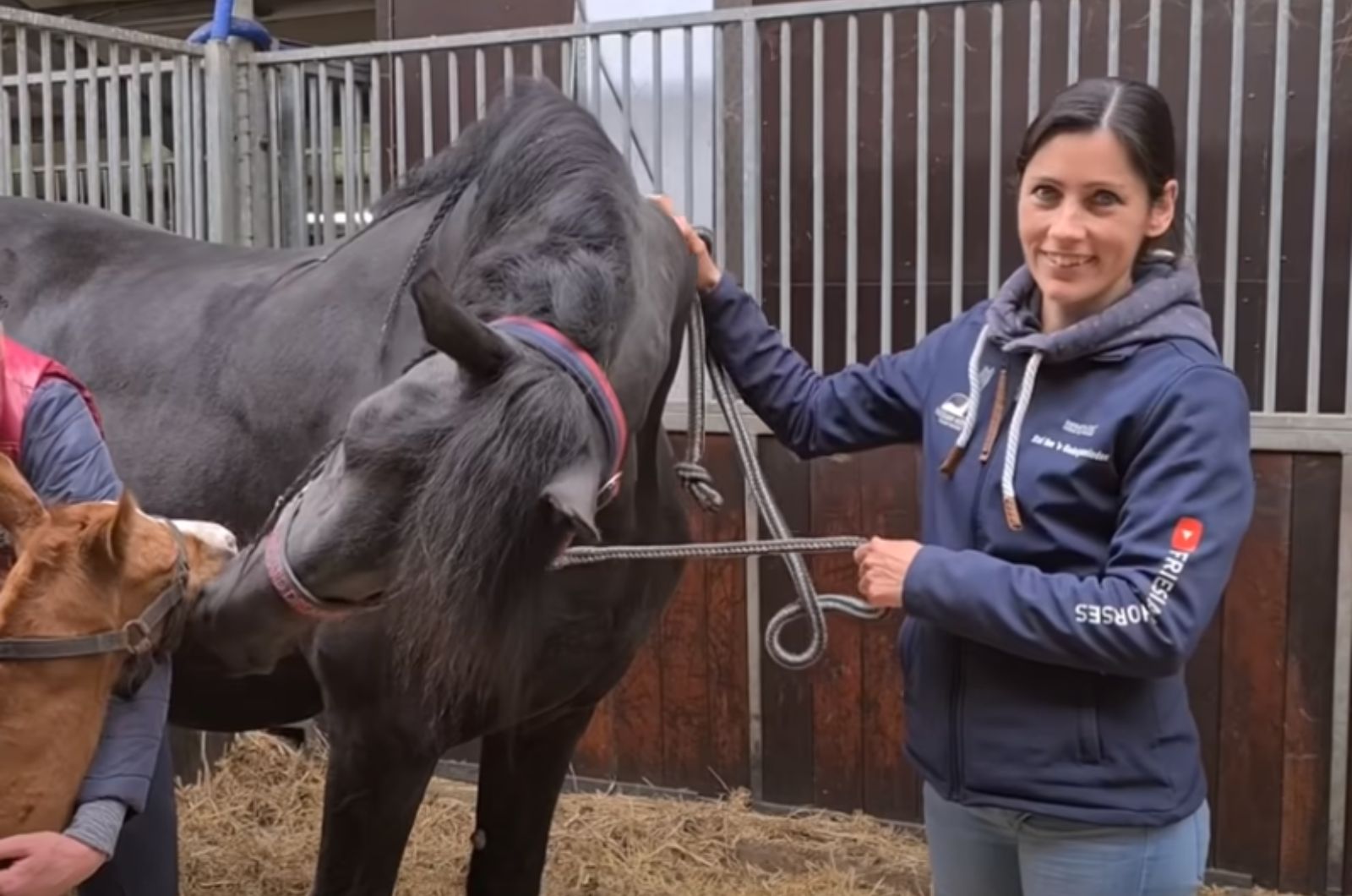 woman petting the horse