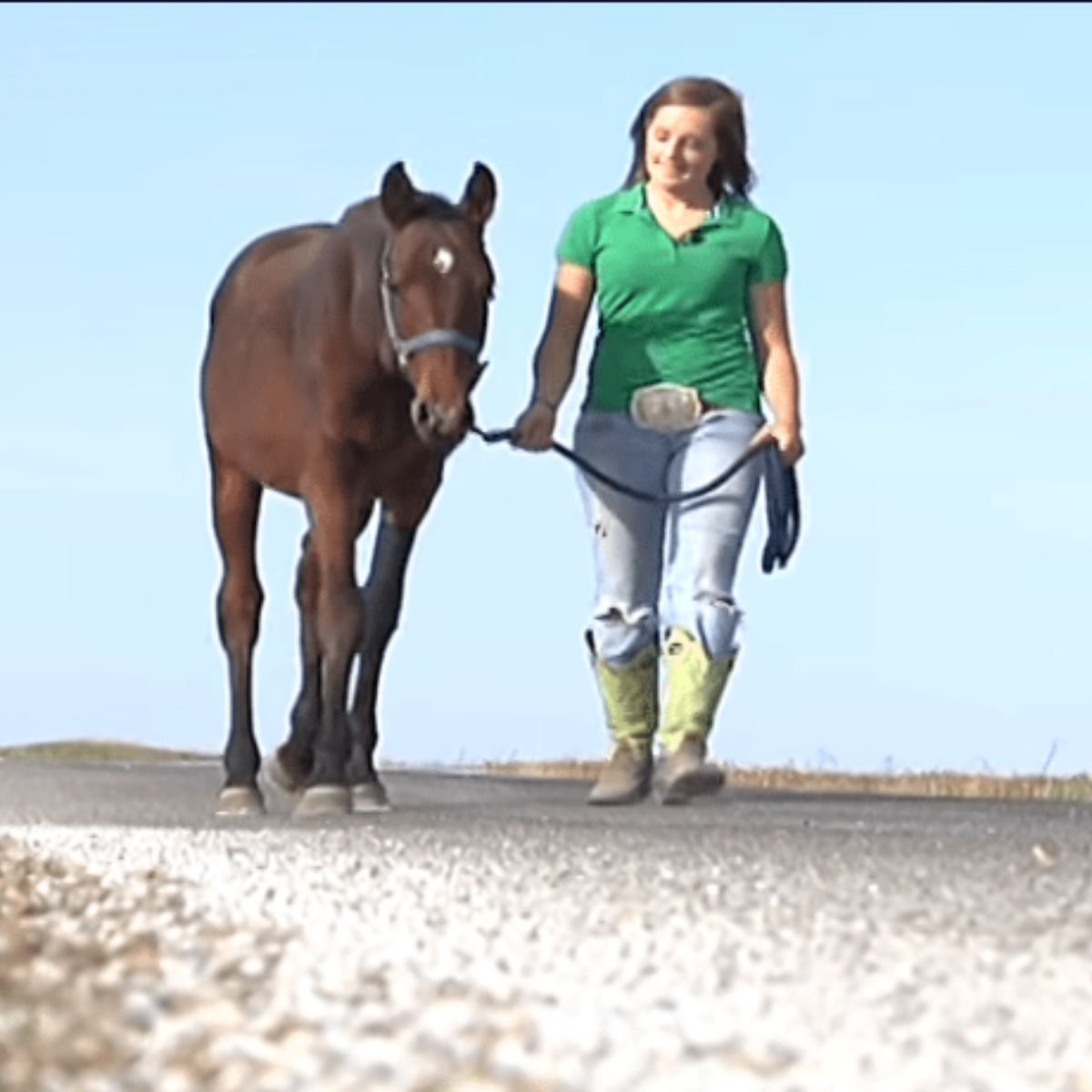 woman walking with horse