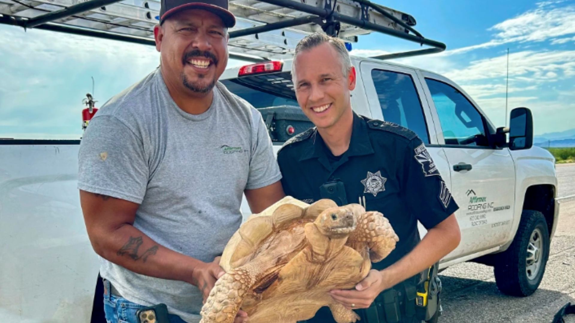 tortoise shell in officers hands