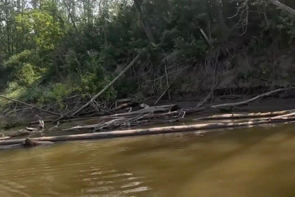 Canoe covered in mud