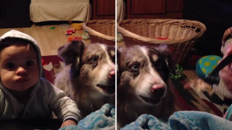 puppy learns tto say mama with baby snacks
