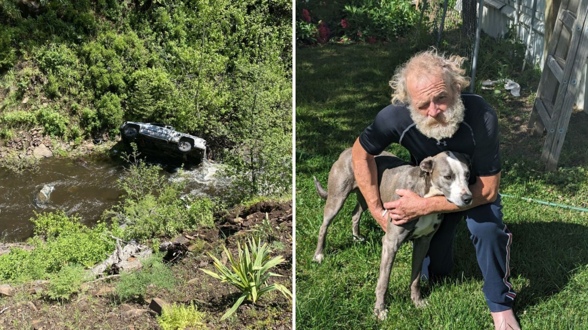 Dog Saves His Owner’s Life After Car Crash By Running 4 Miles To Find Help