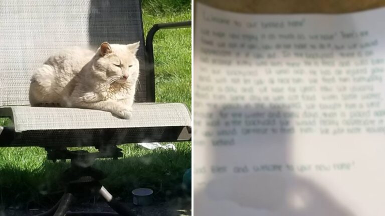 family and a cat with letter