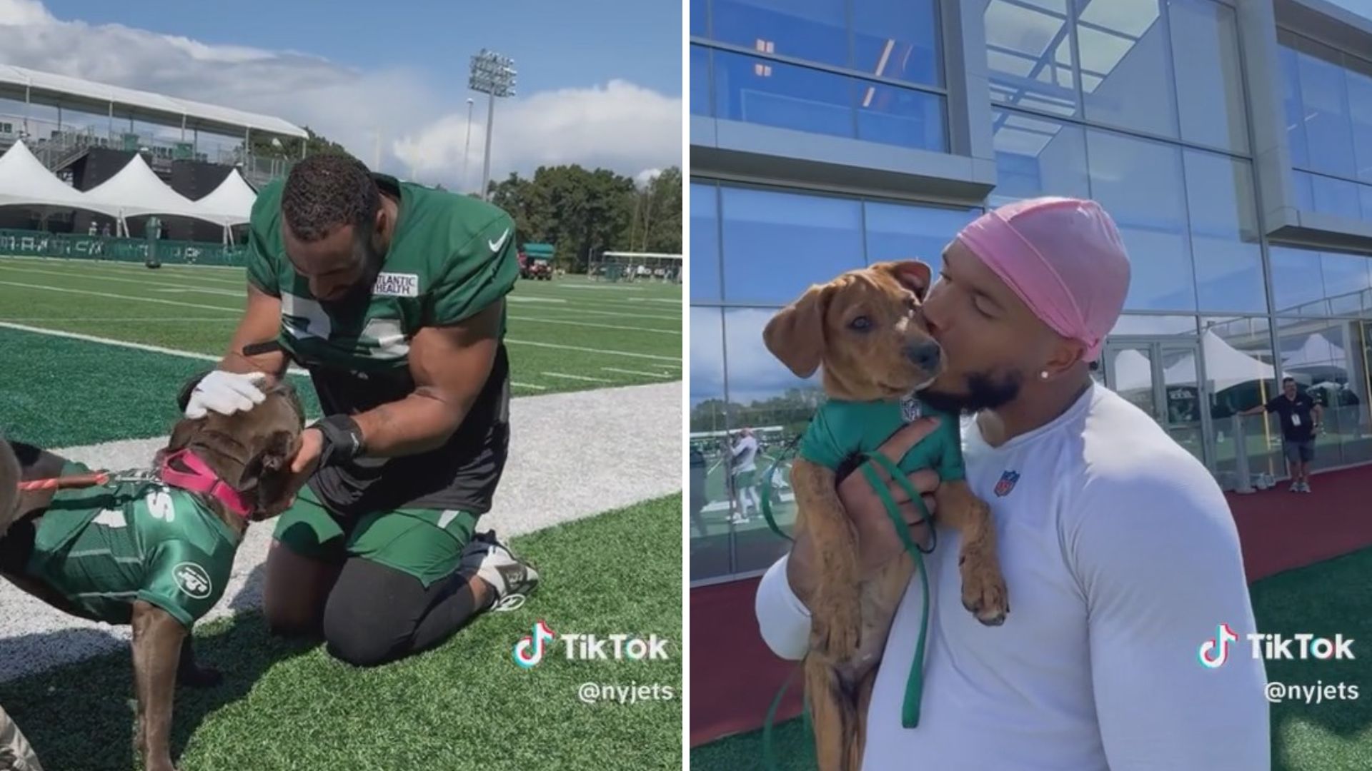 New York Jets Join Forces With Rescue Group To Find Forever Homes For Local Dogs