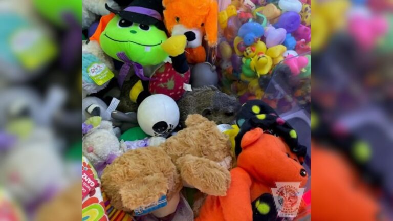 plushies in the claw machine