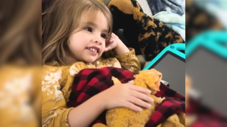 little girl laying with bearded dragon