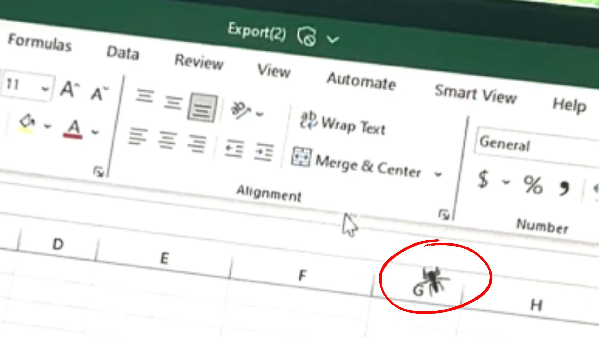 Tiny Spider Distracts A Woman From Her Work And Invites Her To Have Some Fun With Him