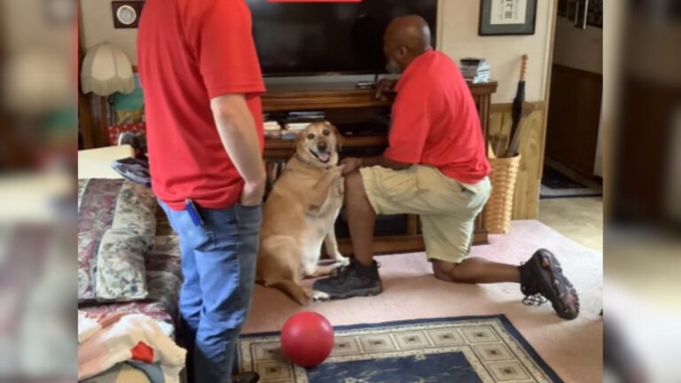 dog puts paw on a mans leg