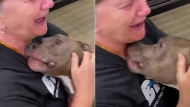 a woman meets a lost dog