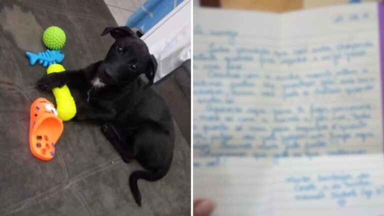 Woman Sees A Letter And A Box At Her Front Door