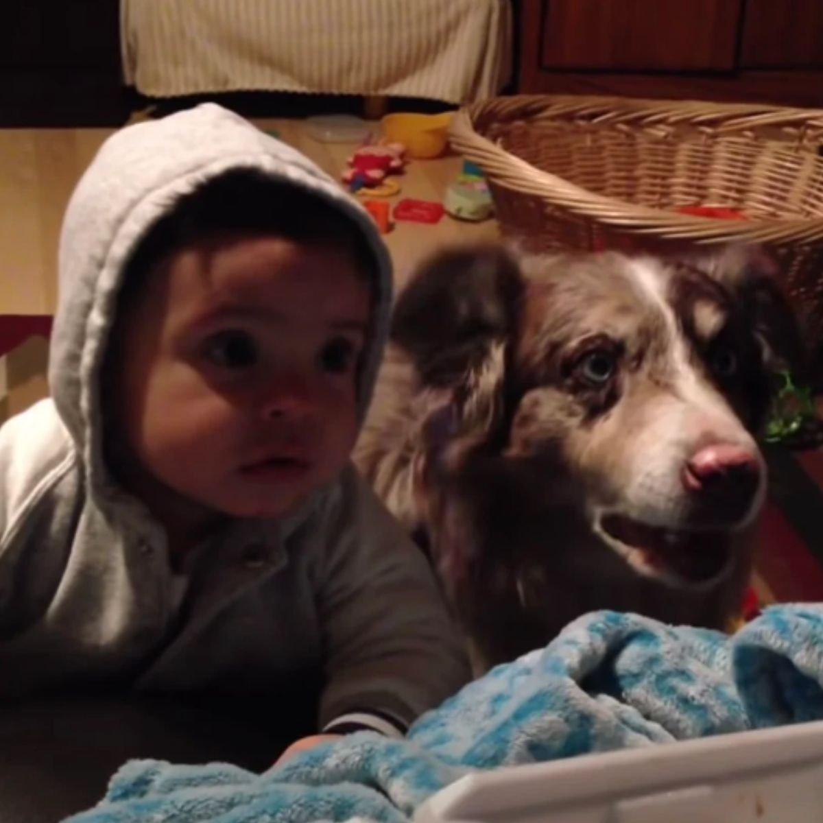 a baby with dog