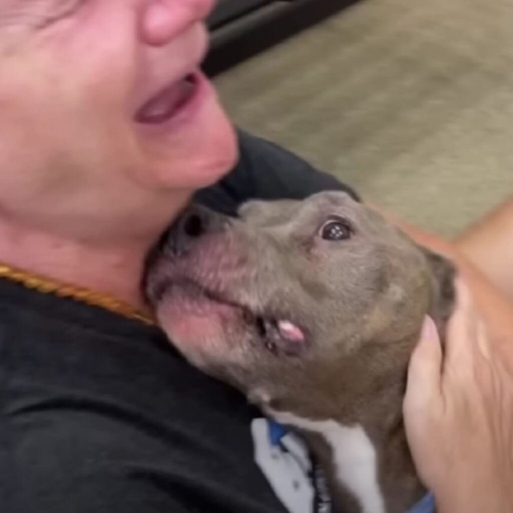 a crying woman hugs a dog