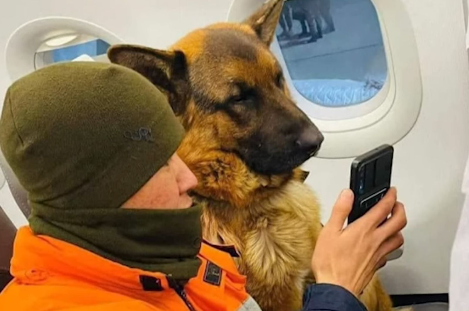 a man showing the phone to the dog in airplane