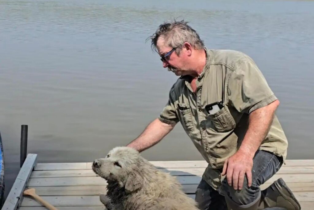 a man with a dog on the pier