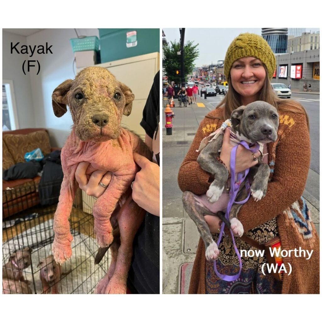 a smiling woman with a rescued dog