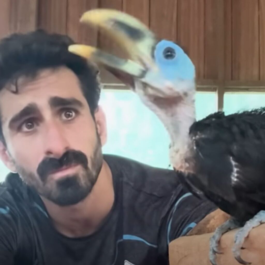 a toucan with an open beak on a man's hand