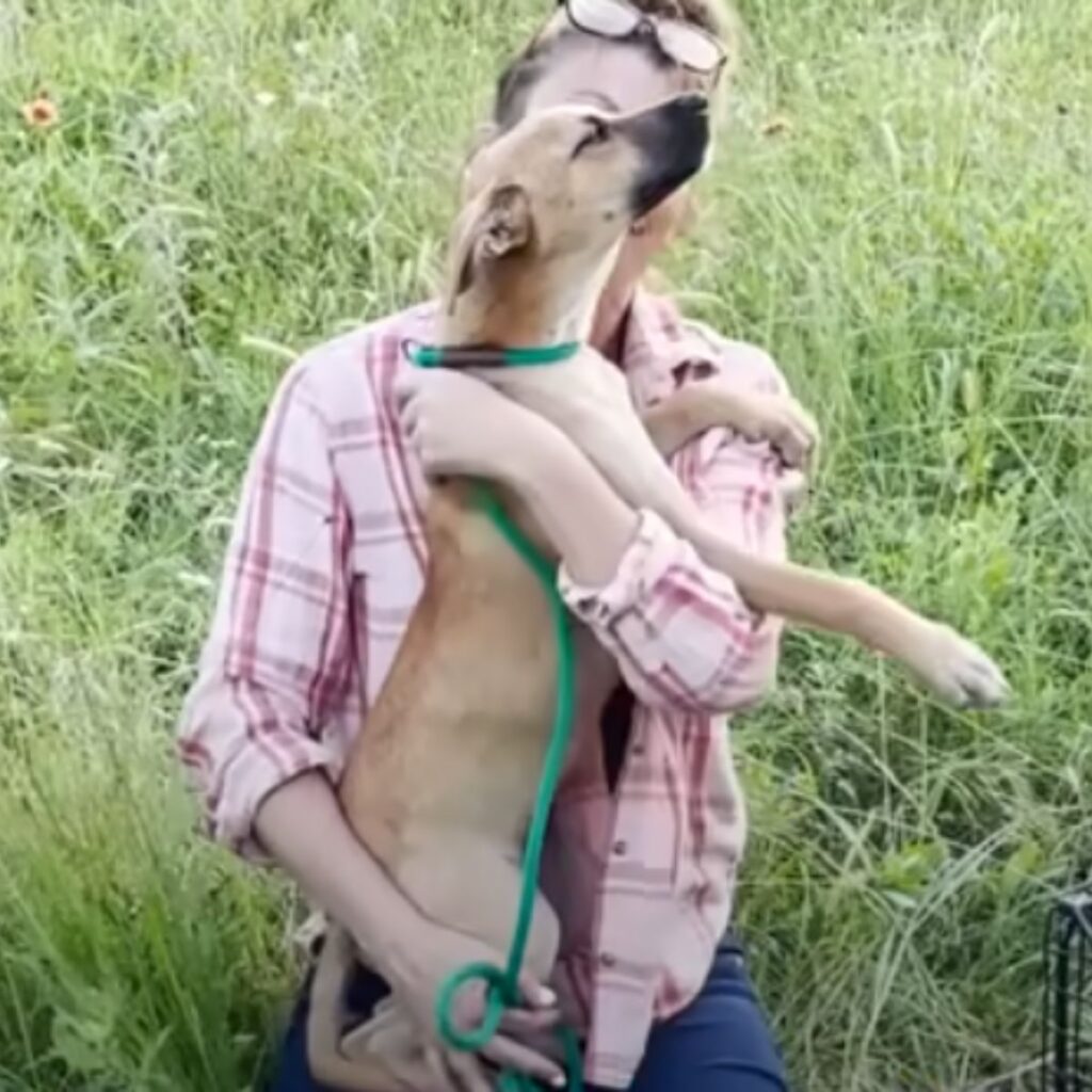 a woman caresses a found dog