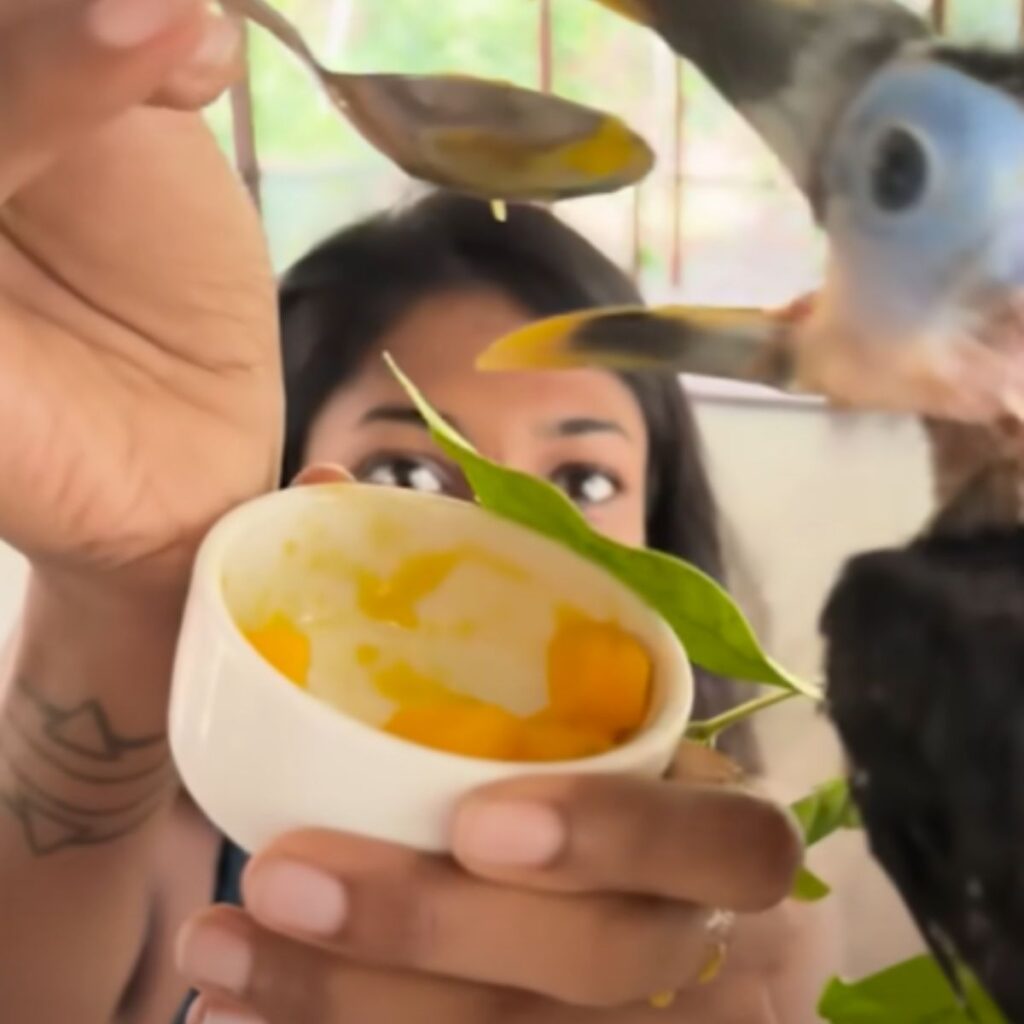 a woman feeds a toucan