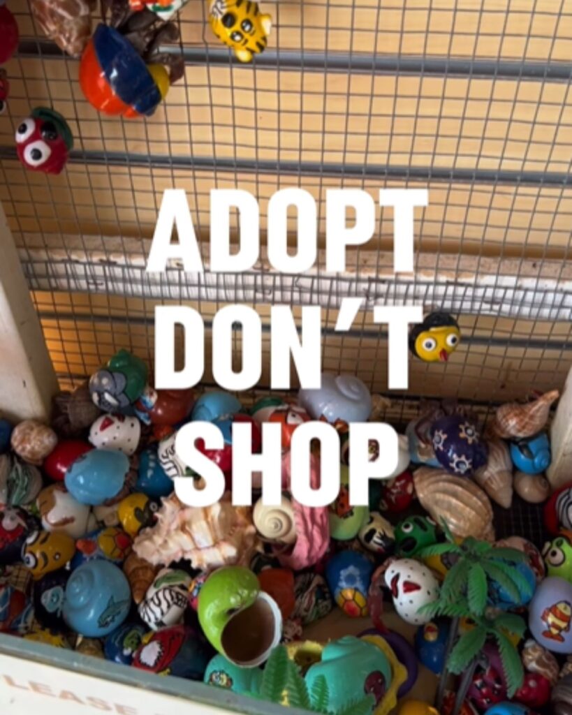 adopt don't shop