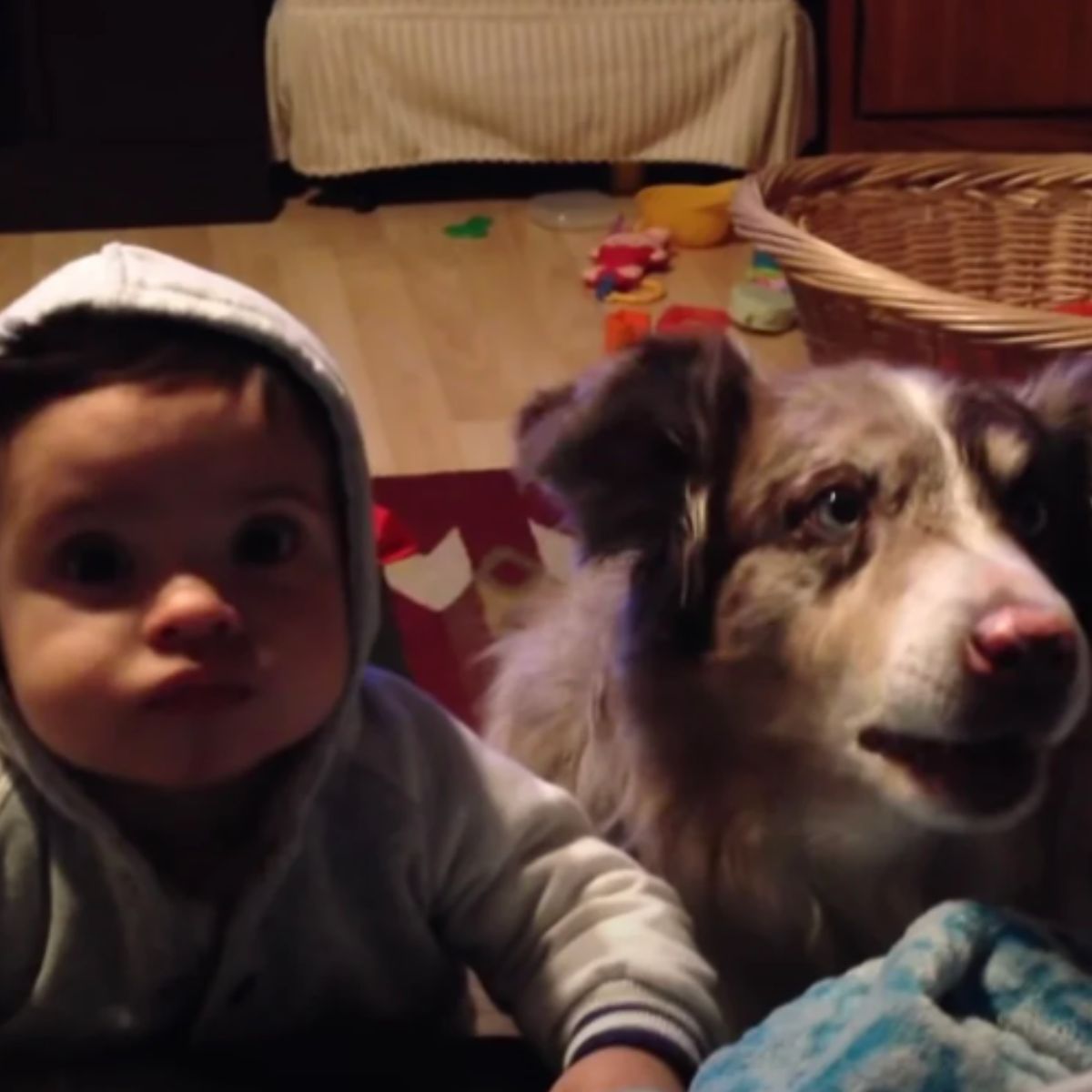 baby and dog looking at same spot