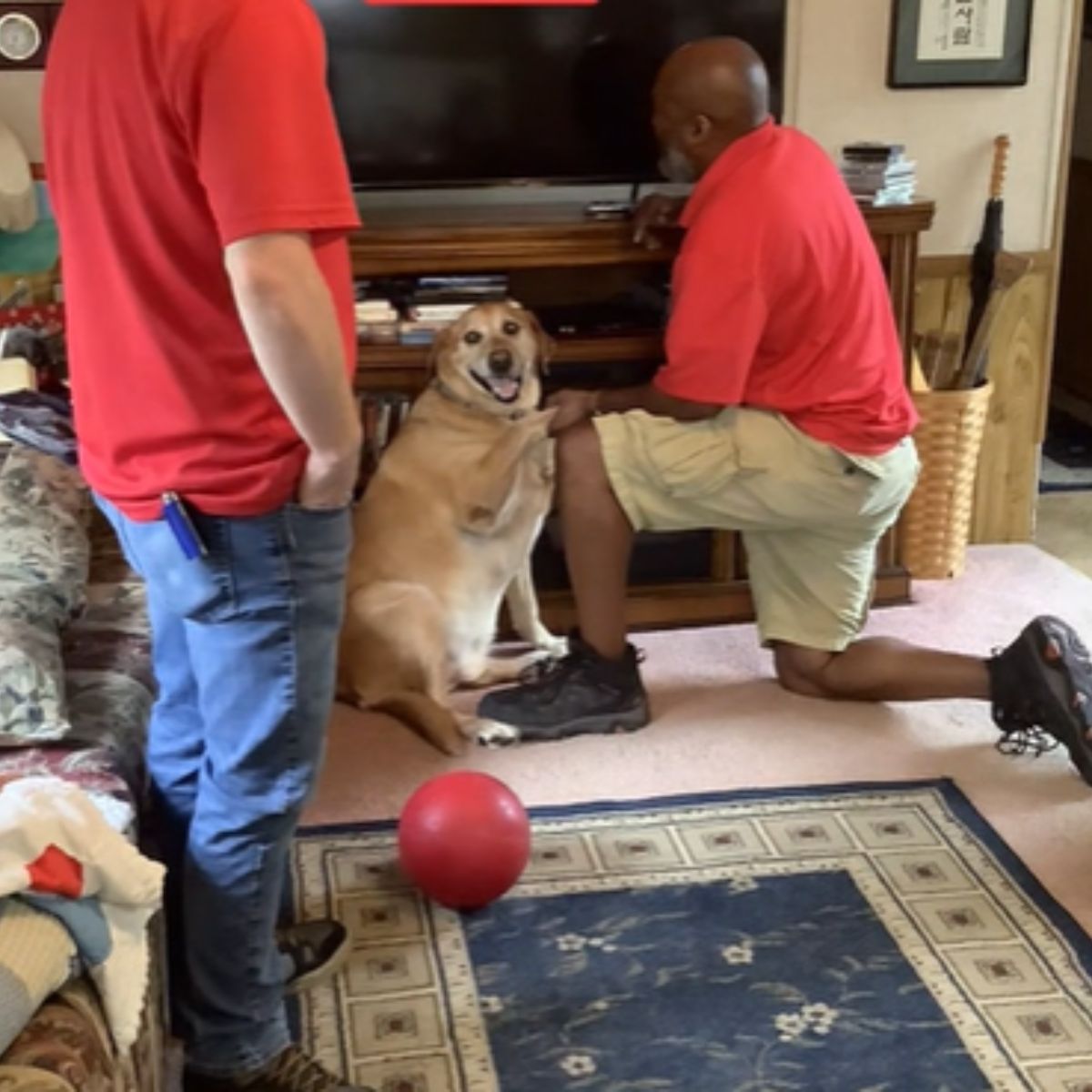 cable guy holding a dogs paw