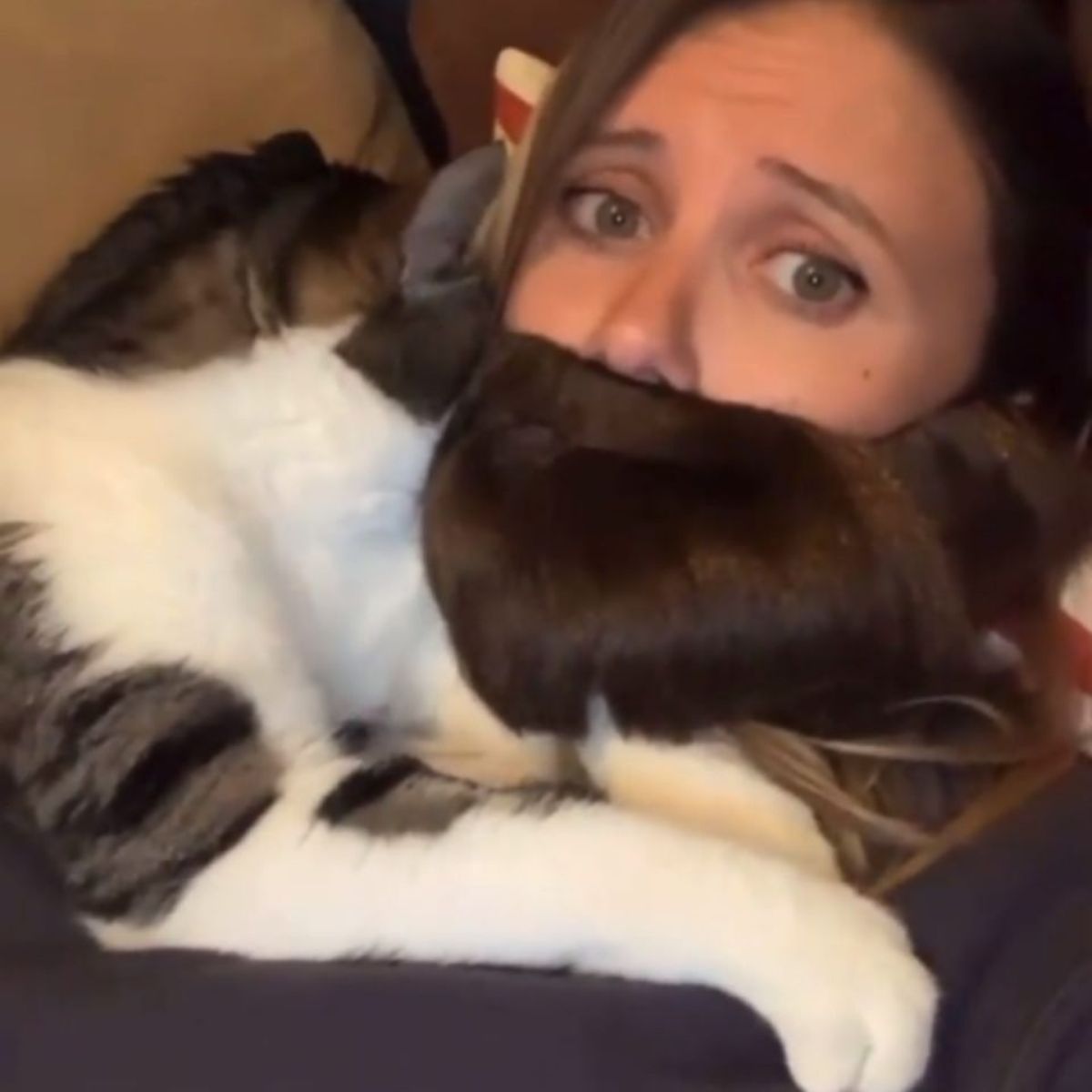 cat layed down on woman