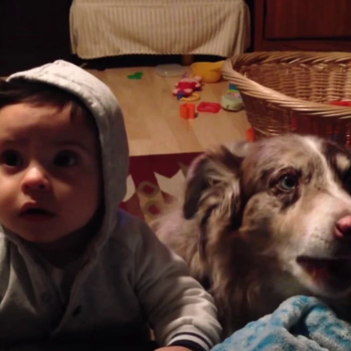 cute baby boy with dog