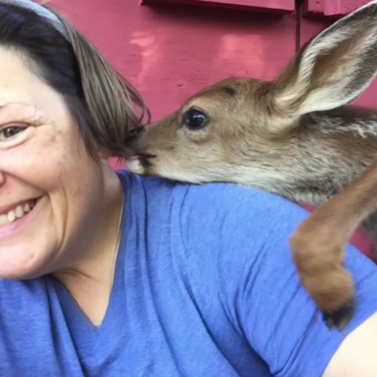 deer kissing a woman