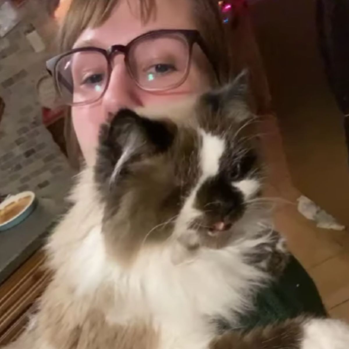 kid and deformed cat