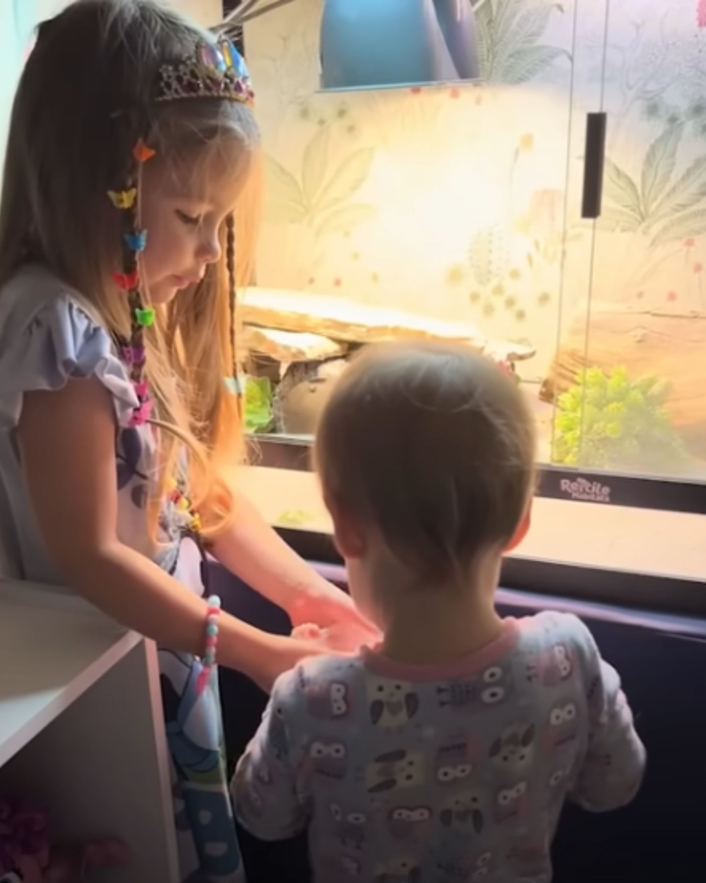 little girl giving bearded dragon to her brother