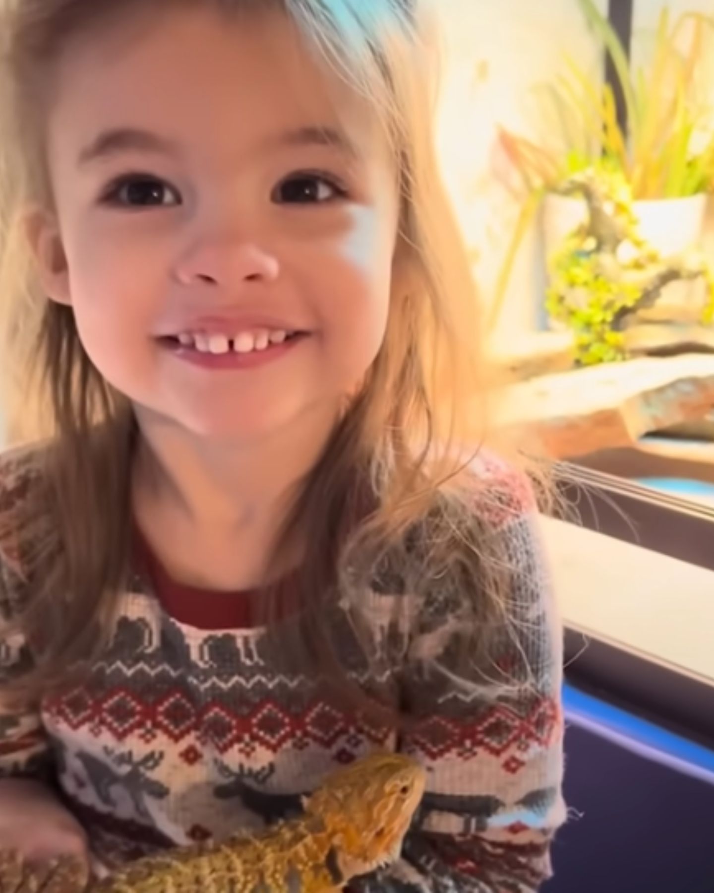 little girl holding bearded dragon in arms