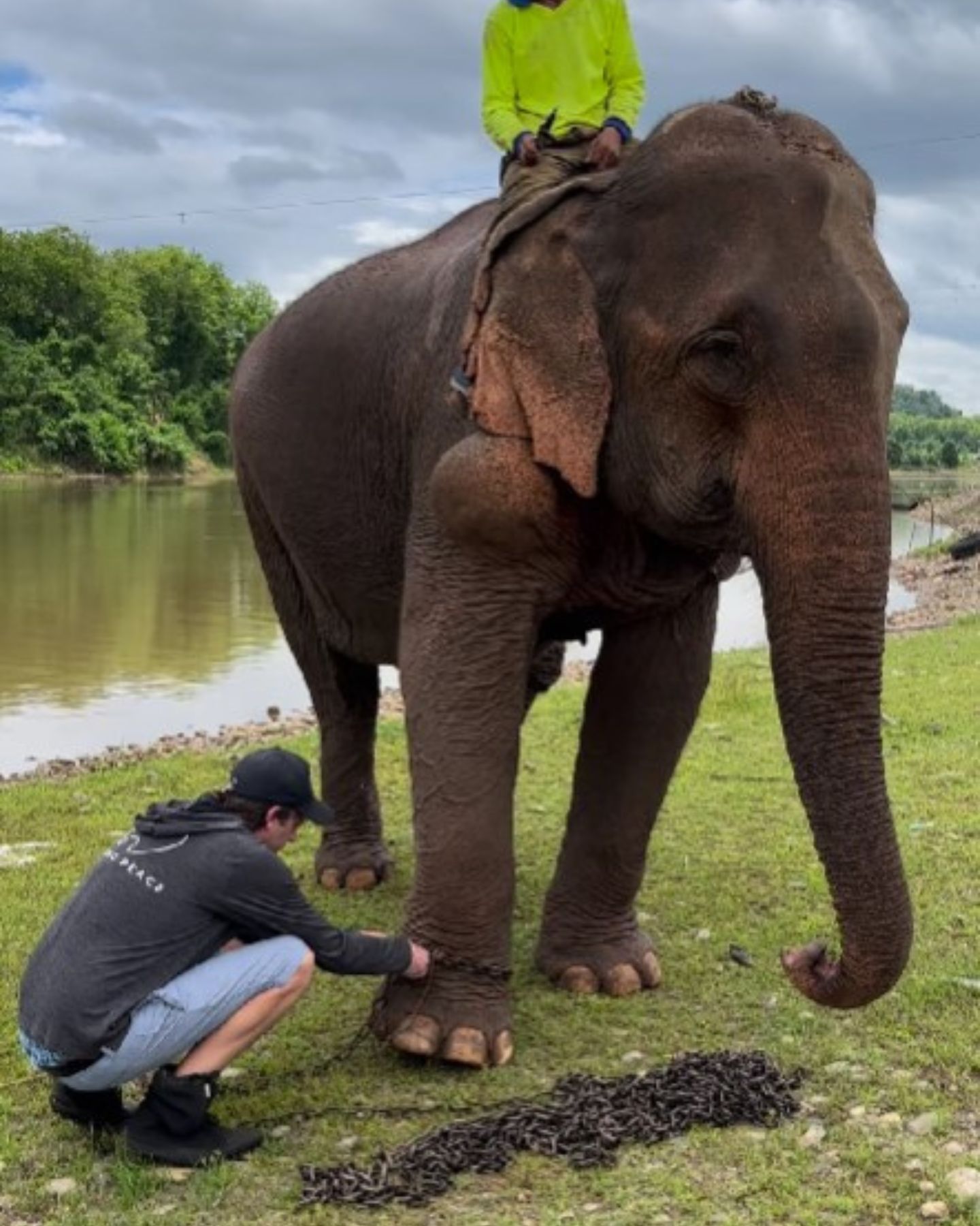 man and elephant