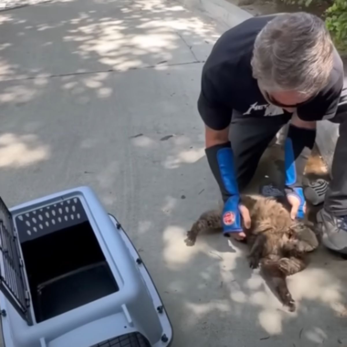 man helping the cat