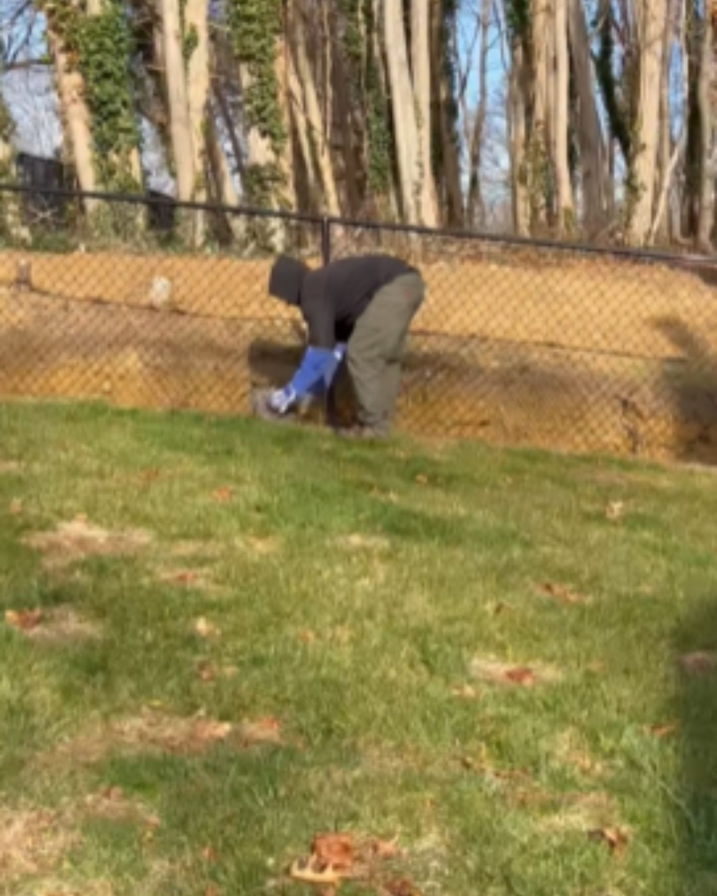 man picking up an owl