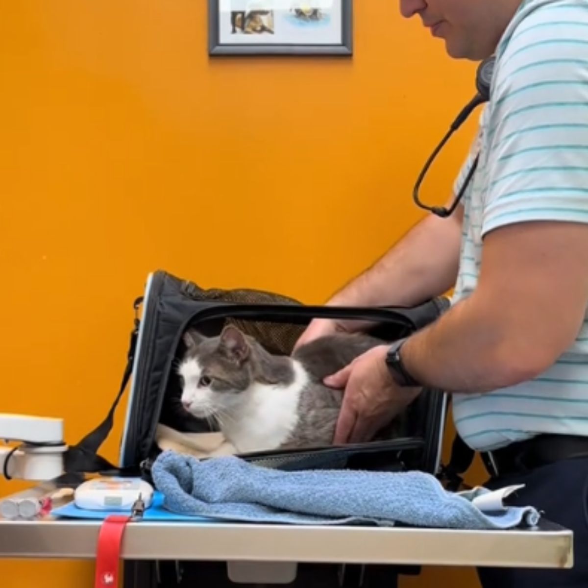 man taking the cat out of bag