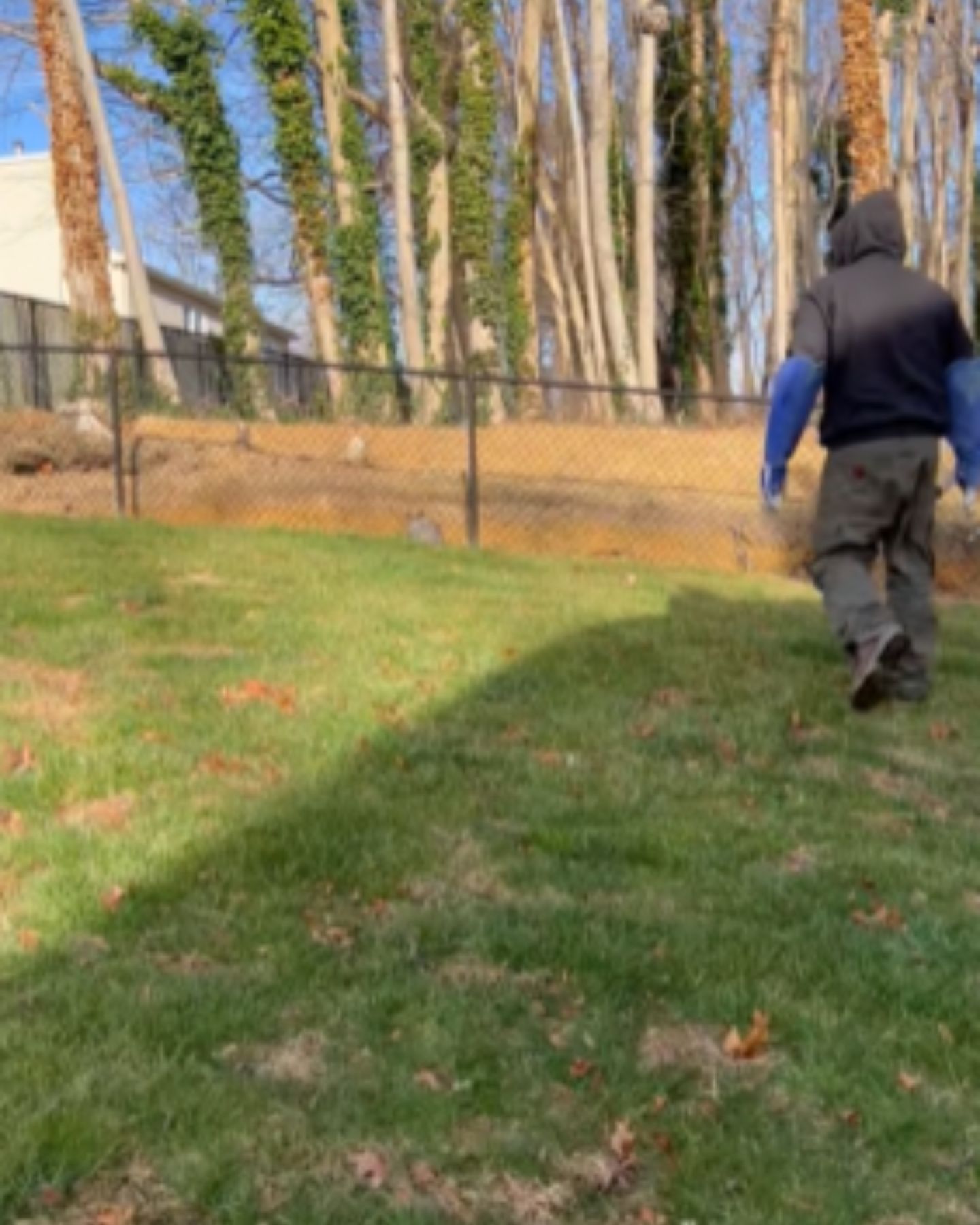 man walking towards an owl