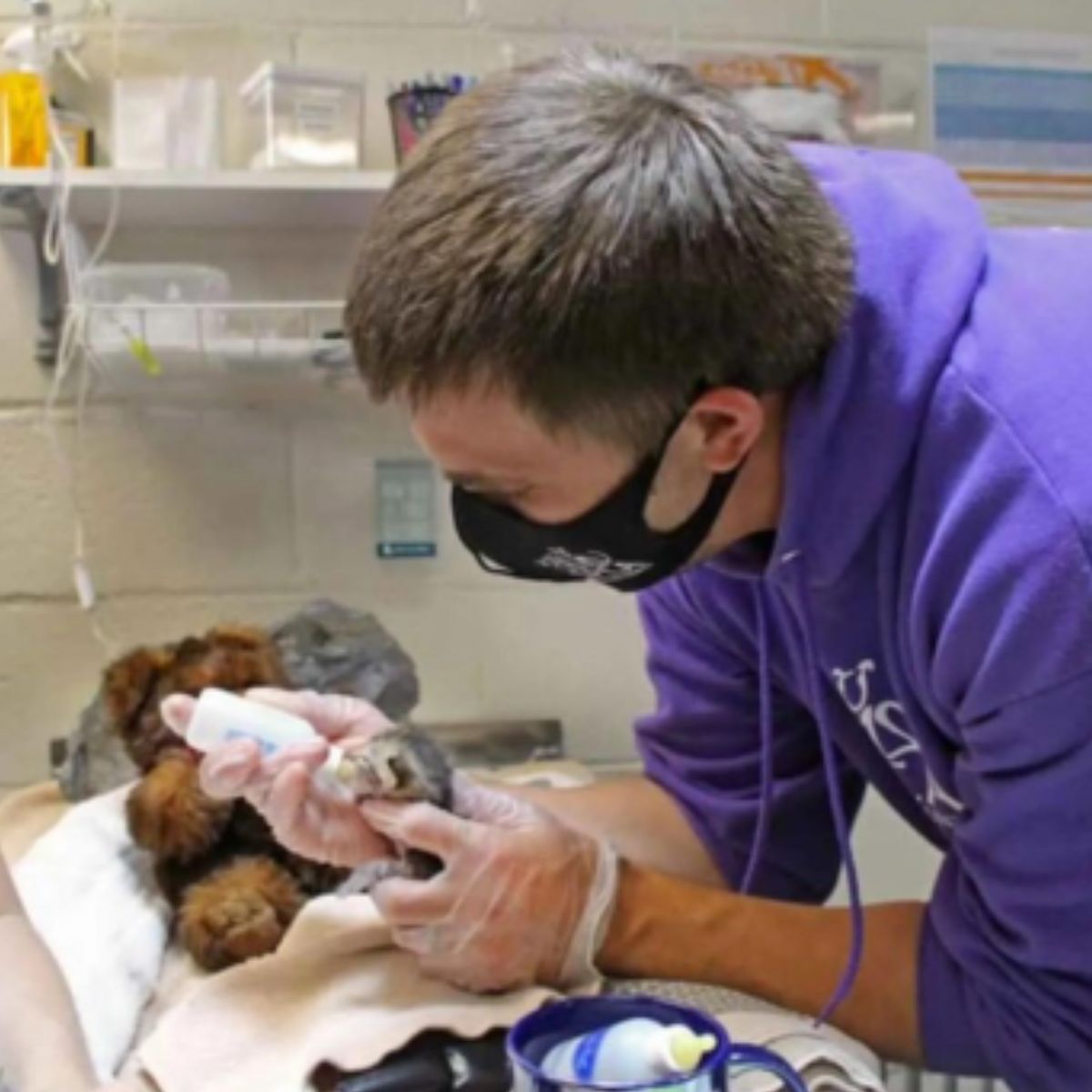 man with mask helping kitten