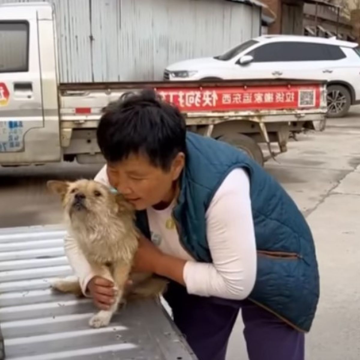 old woman and stray dog