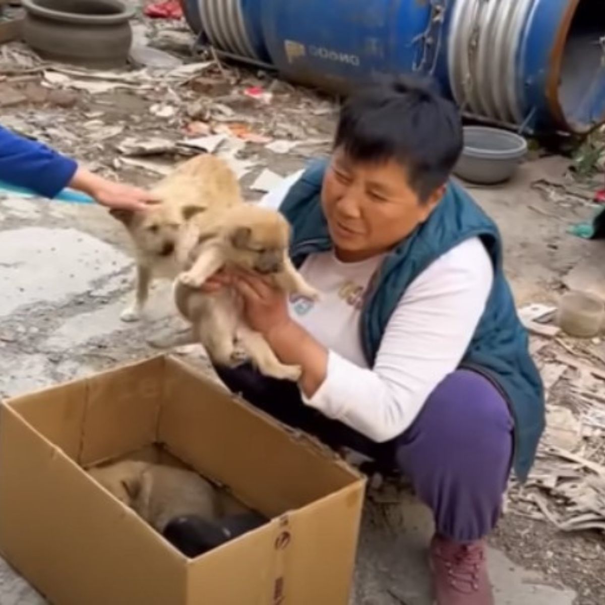 old woman and two puppies