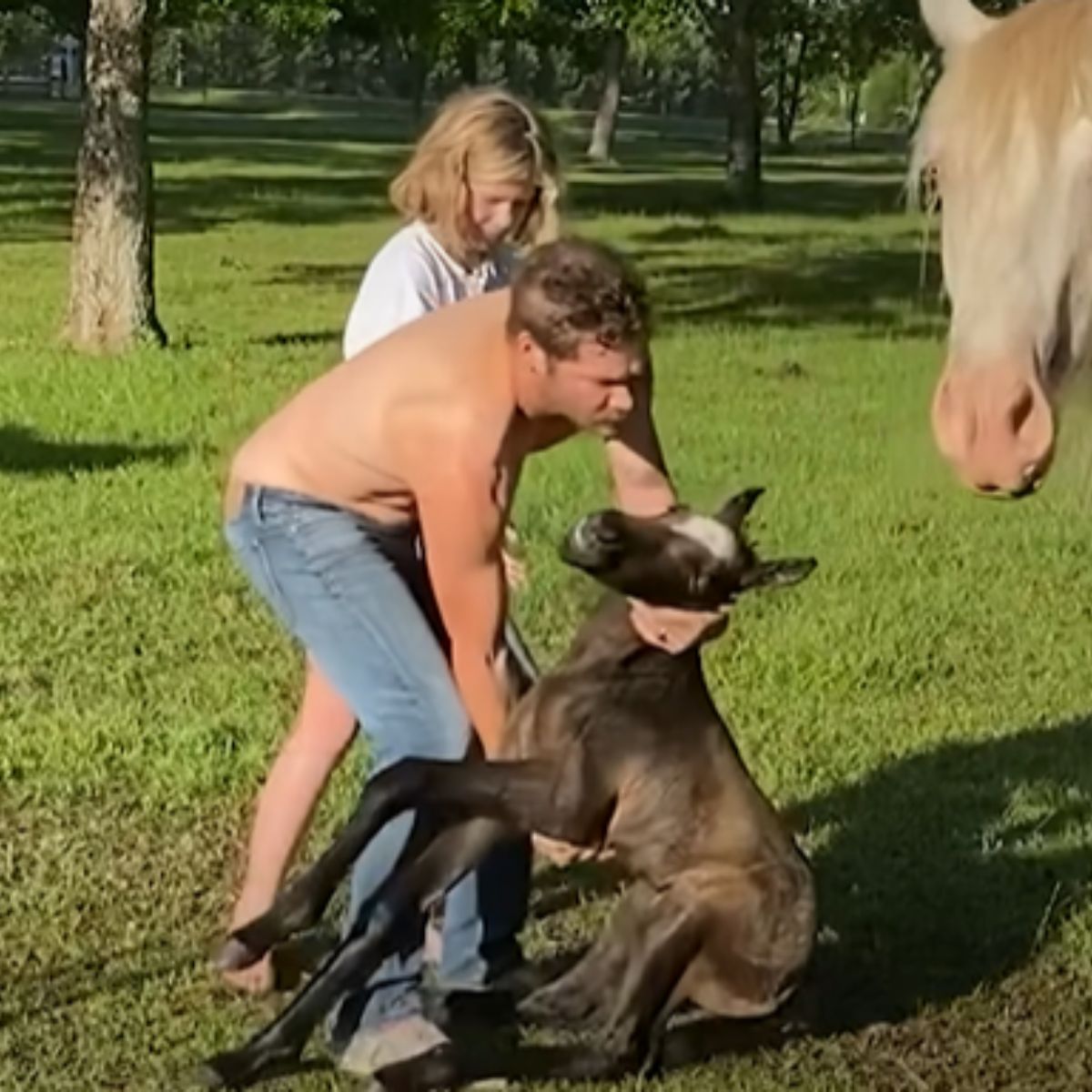 people helping a foal