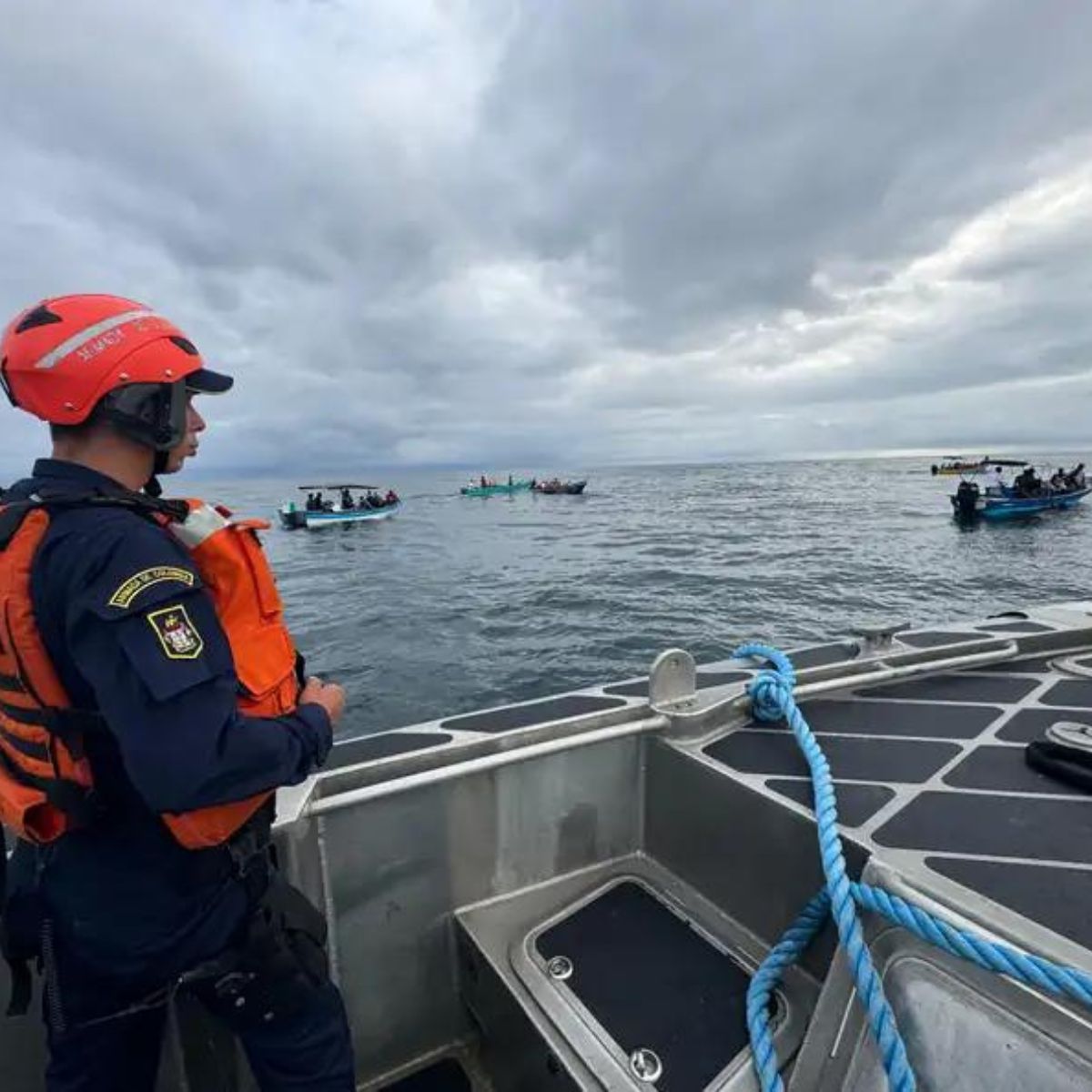 people saving a whale